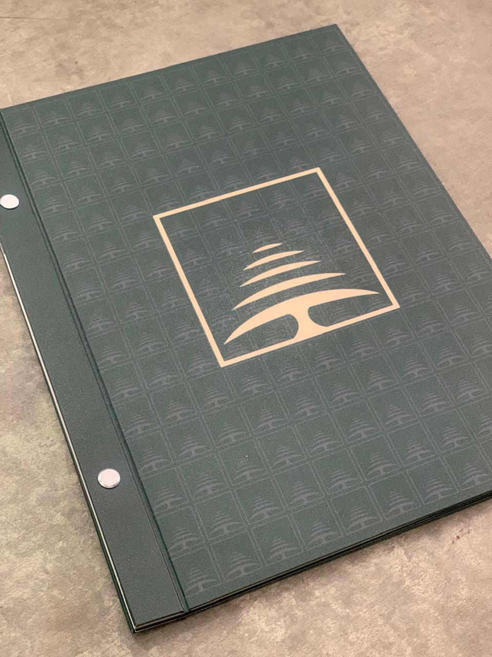 Carpeta corporativa